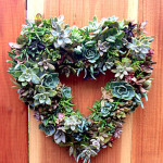 How to Make a Beautiful Succulents Wreath