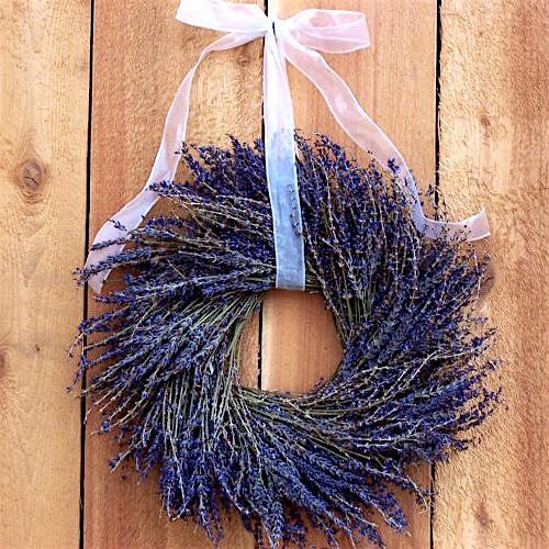 Learn How to Make a Dried Lavender Wreath