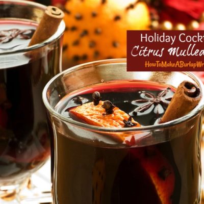 Holiday Cocktails: Citrus Mulled Wine Recipe